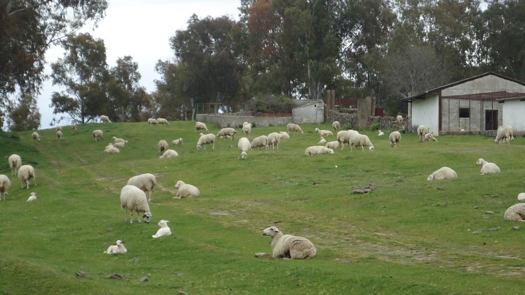 الديانويفا ديل كامينو Casas Rurales El Caminante المظهر الخارجي الصورة
