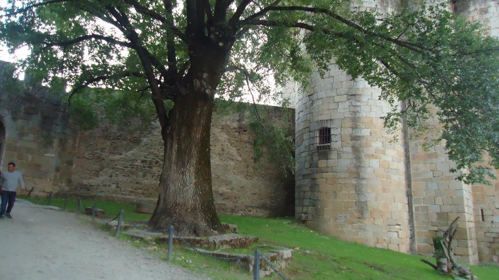 الديانويفا ديل كامينو Casas Rurales El Caminante المظهر الخارجي الصورة